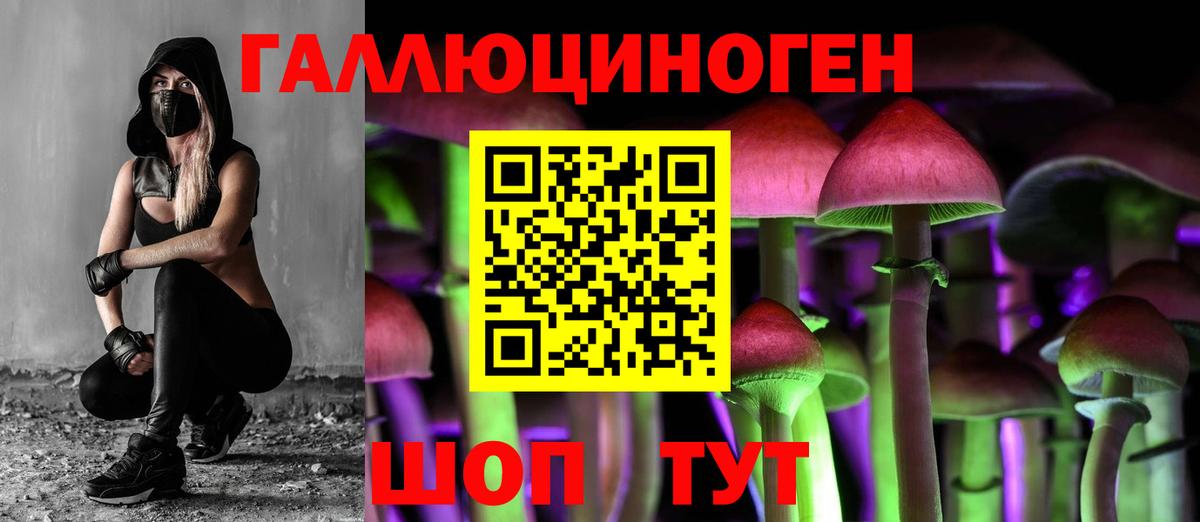 Псилоцибиновые грибы ЛСД  купить   Раменское  Галлюциногенные грибы GOLDEN TEACHER  Вход с VPN 